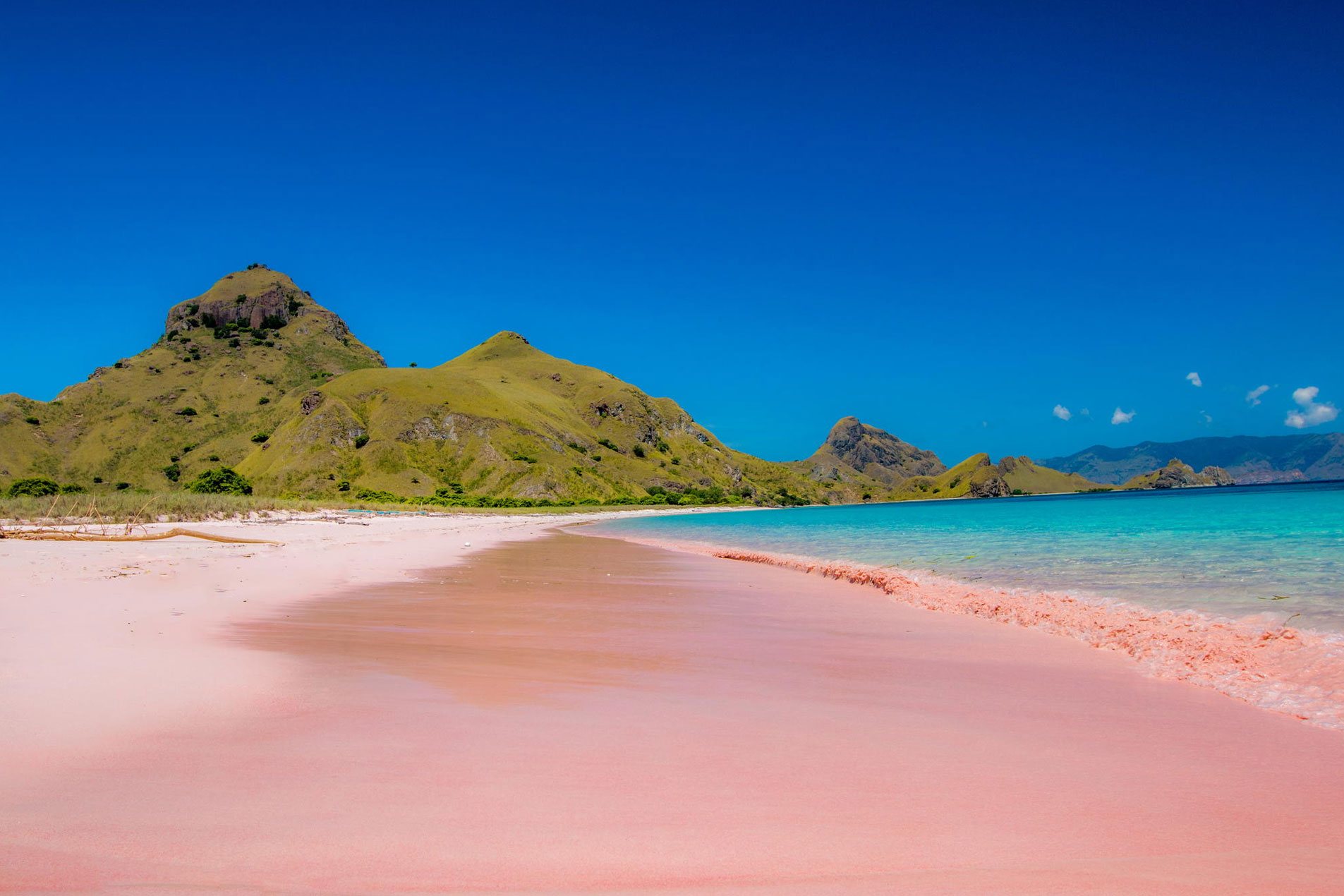 Pink Beach, Permata Tersembunyi dari Pulau Komodo yang Diburu Wisatawan