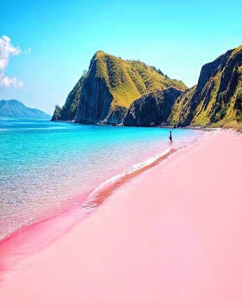 Pantai pink lombok
